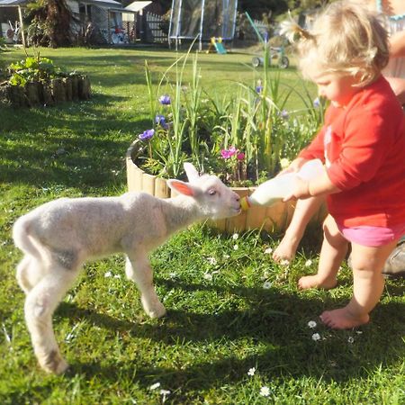 Little Paradise & Petting Farm Greymouth Luaran gambar