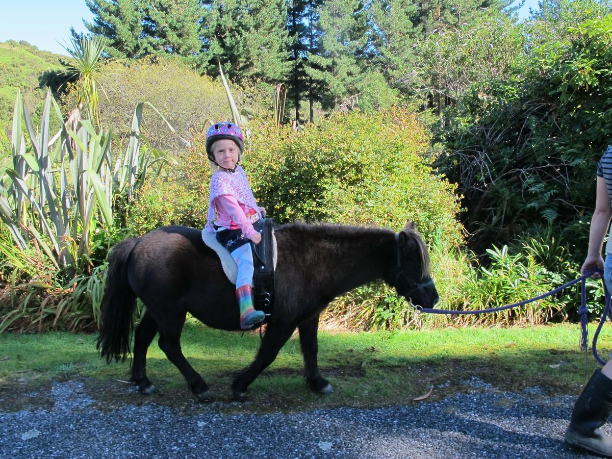 Little Paradise & Petting Farm Greymouth Luaran gambar