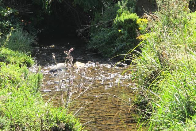 Little Paradise & Petting Farm Greymouth Luaran gambar