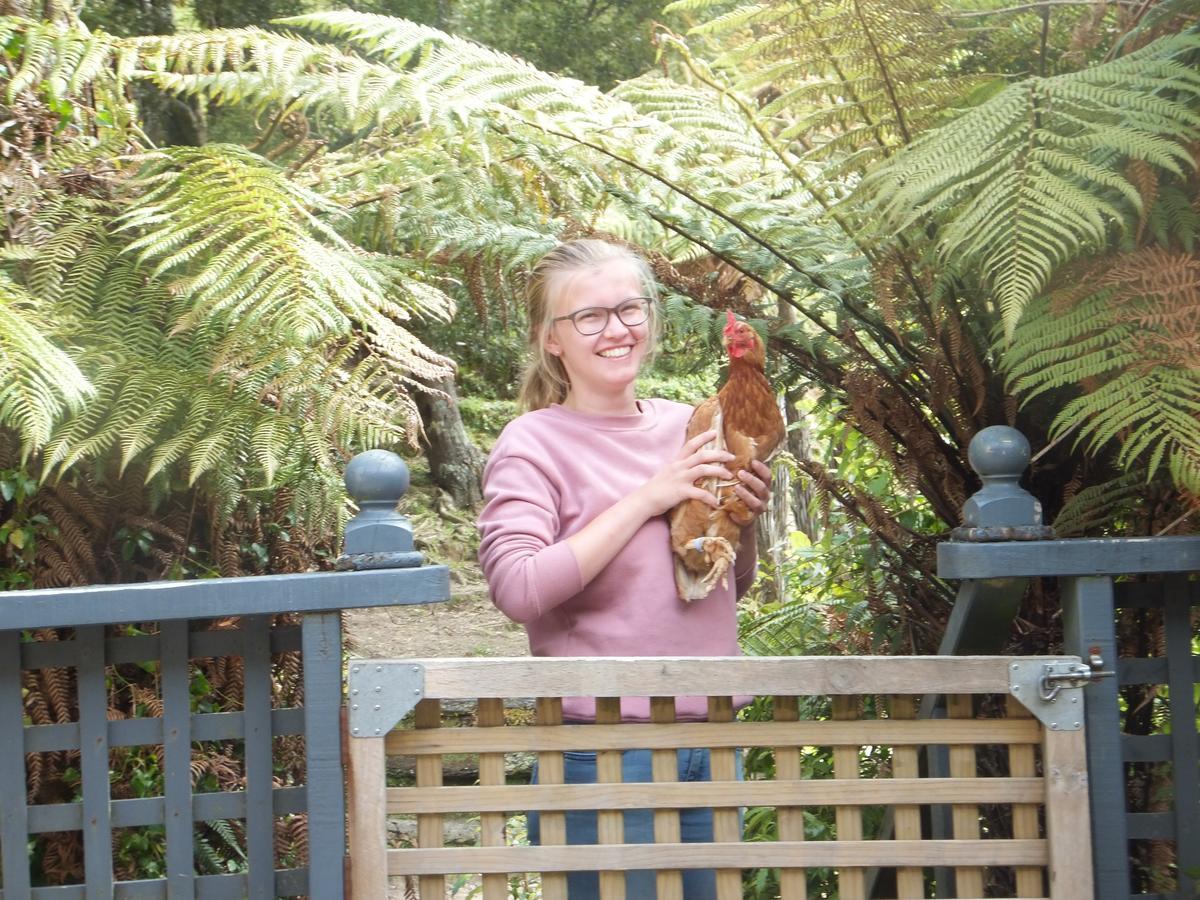 Little Paradise & Petting Farm Greymouth Luaran gambar