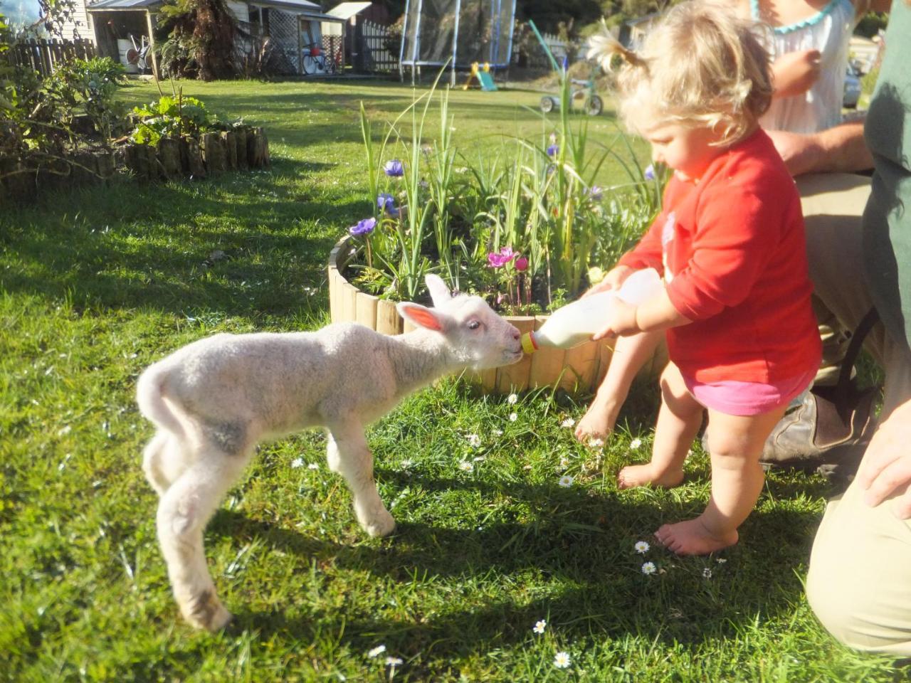 Little Paradise & Petting Farm Greymouth Luaran gambar