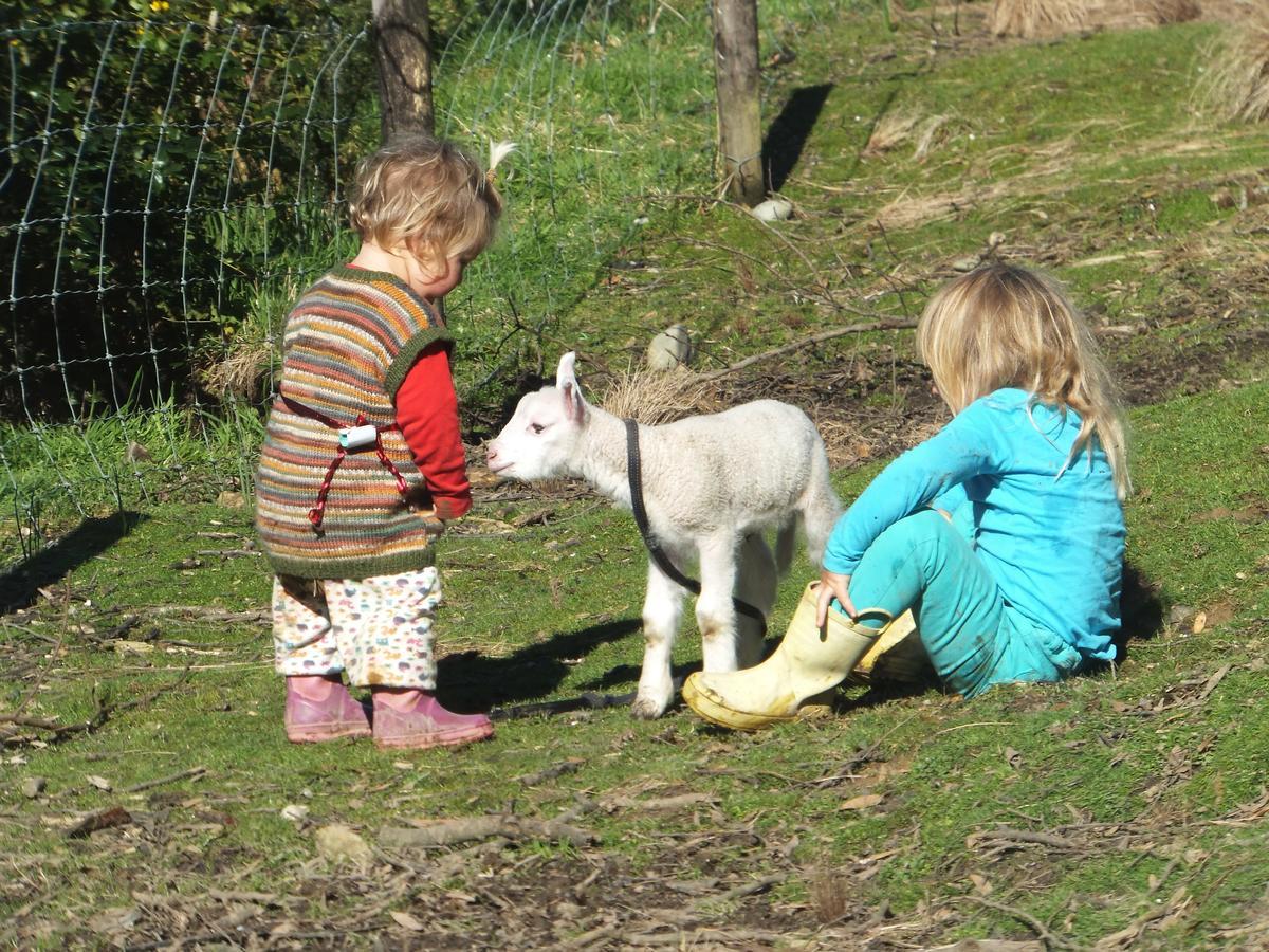 Little Paradise & Petting Farm Greymouth Luaran gambar